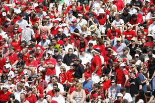 下载乐鱼体育APP-体育新闻中心快讯榜单刷新，体育新闻 体坛快讯