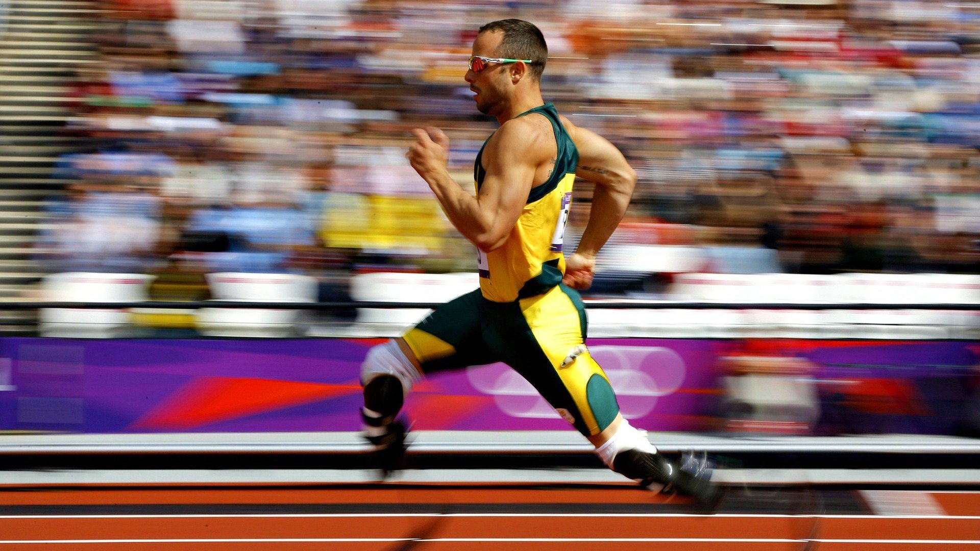 乐鱼网官网进入-体育赛事博物馆展出经典赛季珍贵影像资料，体育赛事展示